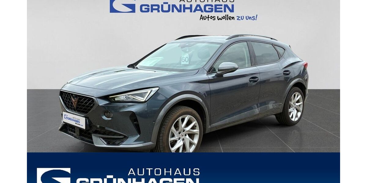 Cupra Formentor 20.990 km 24.980 &euro; Hoya 27318