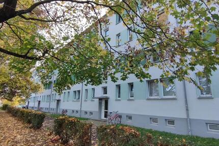 * Nachvermietung * Grimma-West * 15.12.25 * zimmer