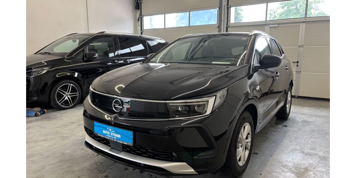 Opel Grandland (X) 20.750 km 20.999 &euro; Landau a.d.Isar 94405