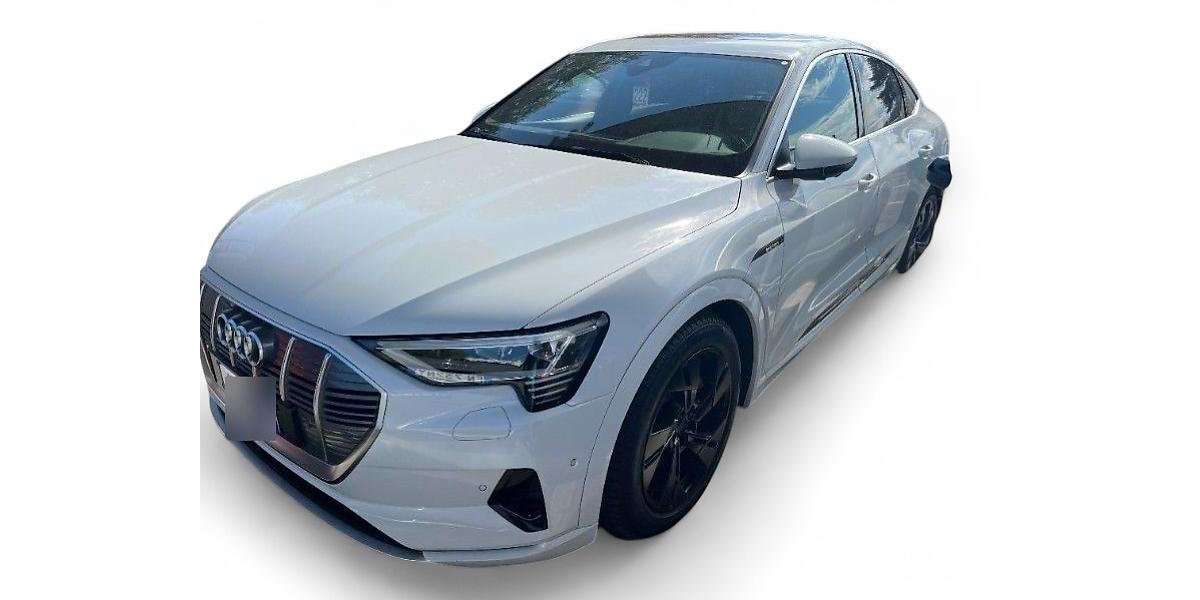 Audi e-tron 107.089 km 21.999 &euro; Ergolding 84030