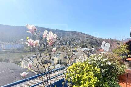 Wohnung zum Kaufen in Heidelberg Ziegelhausen 705.000 € 214 m² 4 zimmer