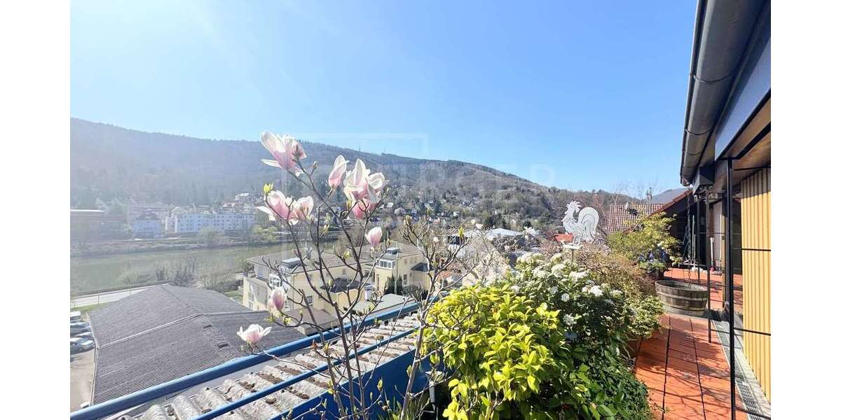 Wohnung zum Kaufen in Heidelberg Ziegelhausen 705.000 € 214 m² 4 zimmer