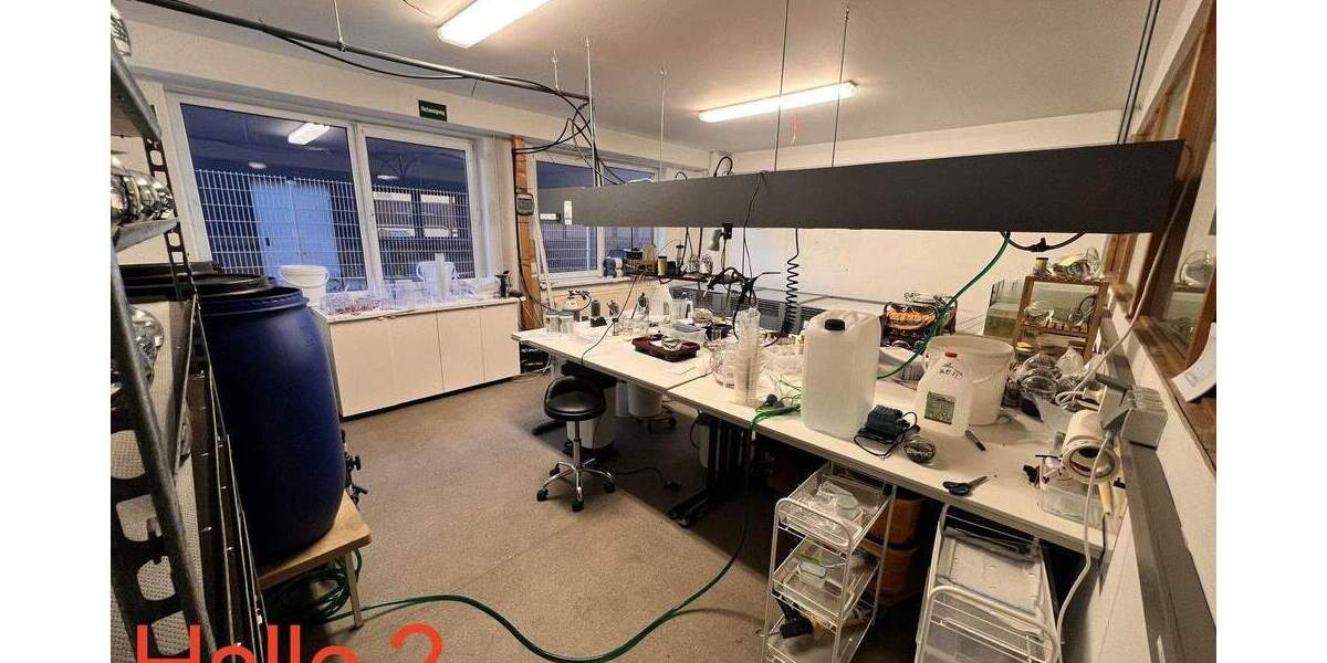 2 Gewerbehallen mit Büro- und Sozialflächen in verkehrsgünstiger Lage zimmer