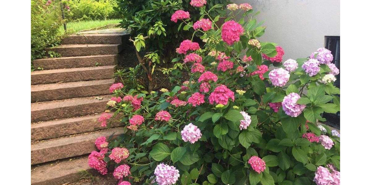 Mehrfamilienhaus, Wohnhaus Freiburg Günterstal - 1 Zimmer, 356 m&sup2;, 1.195.000&euro; | Angebot:24876612