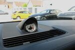 Porsche Panamera Head-Up Sp.-Ausspuff 43.000 km 64.999 &euro; Biebesheim 64584