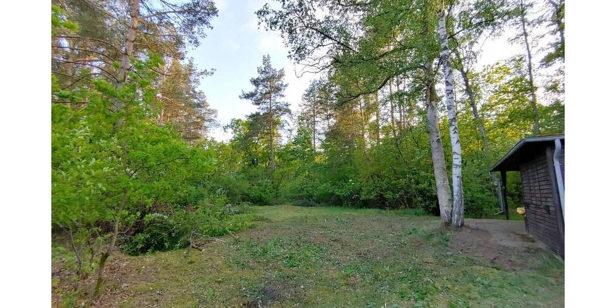 Bungalow Faßberg Poitzen - 3 Zimmer, 40 m&sup2;, 130.555&euro; | Angebot:25745613