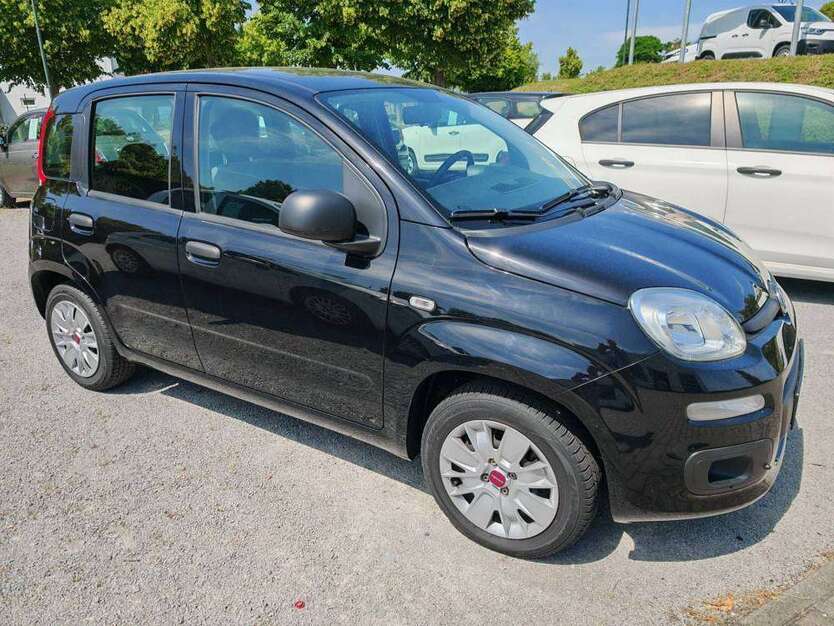 New Panda