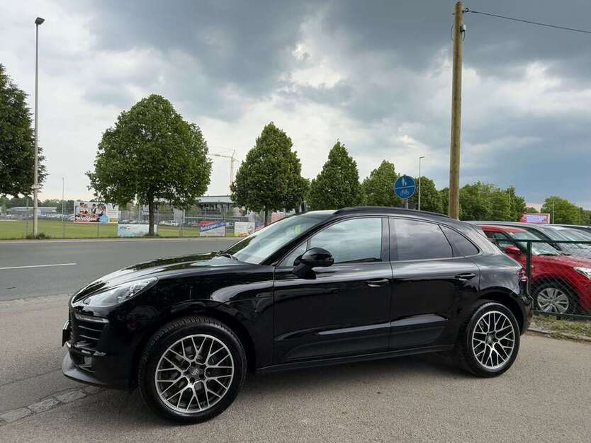 Macan