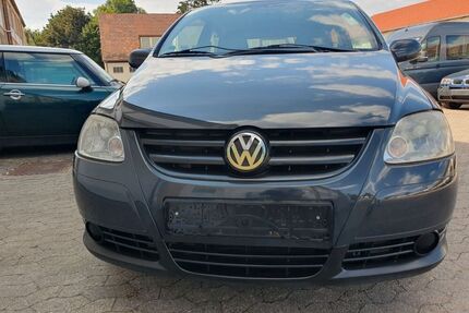VW Fox