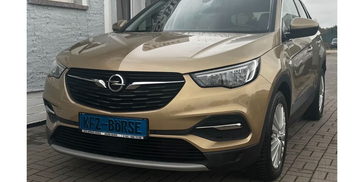 Opel Grandland (X) 86.000 km 14.700 &euro; Burg 39288