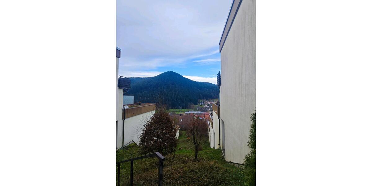 1 Zimmer Wohnung in Baiersbronn 1 zimmer