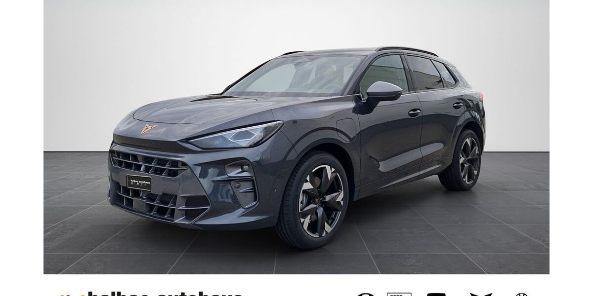 Cupra Terramar 9.900 km 46.320 &euro; Halberstadt 38820