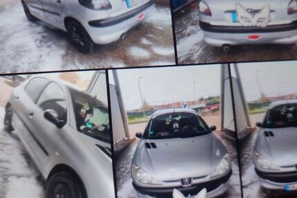 Peugeot 206 168.867 km 750 € Neuweiler 75389