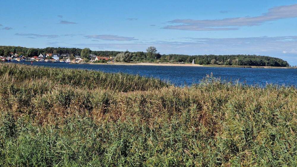 HotelAppartementsFerienwohnungen 1 zimmer