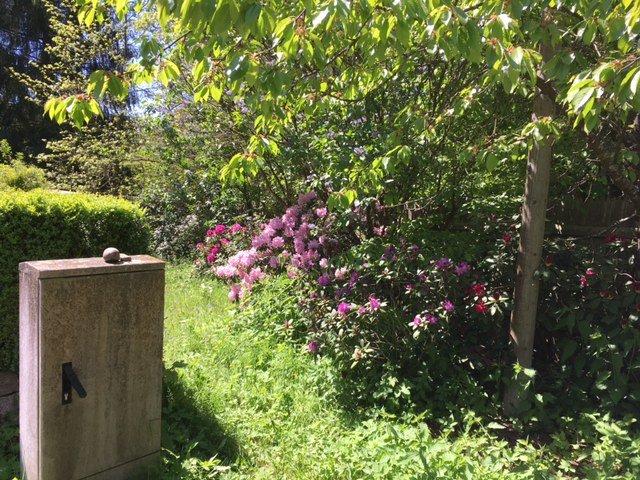 Bungalow Petershagen/Eggersdorf Eggersdorf - 3 Zimmer, 80 m&sup2;, 1.250&euro; | Angebot:26099391