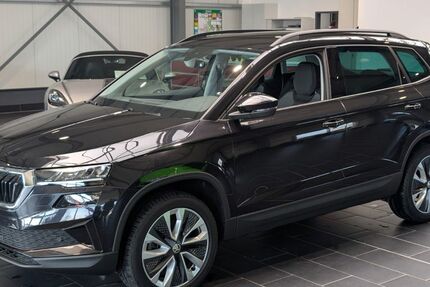 Skoda Karoq 57.000 km 24.900 &euro; Weinheim 69469