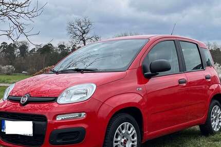 Fiat Panda 18.000 km 8.450 &euro; Hagenbach, Stadt 76767