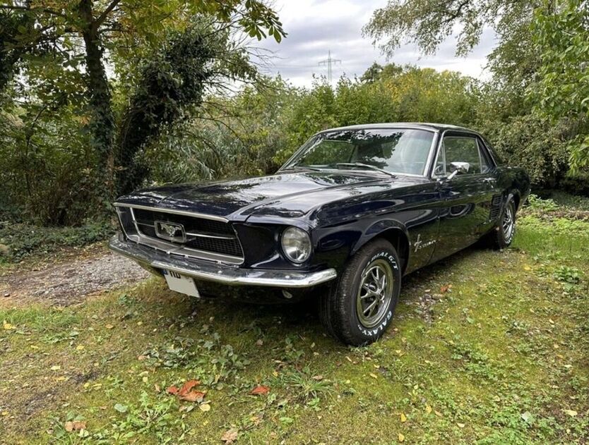 Mustang