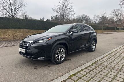 Lexus NX 300