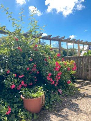 Erdgeschoßwohnung Sylt - 1.5 Zimmer, 45 m&sup2;, 315.000&euro; | Angebot:26544396