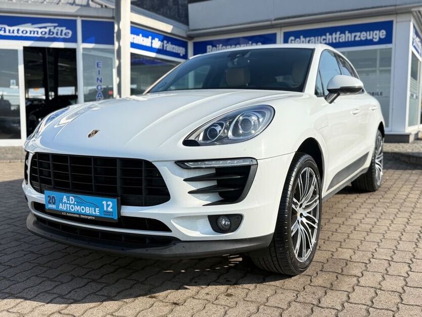 Macan