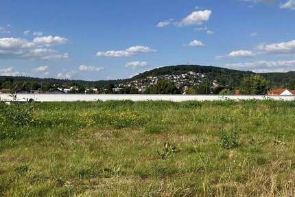 Grundstück Büdingen - 244.125&euro; | Angebot:26274658