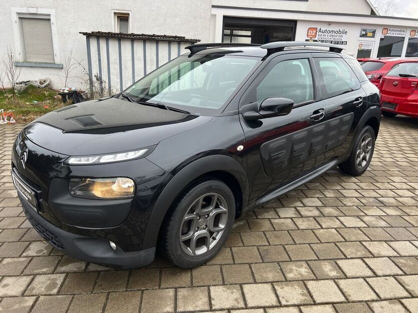 C4 Cactus