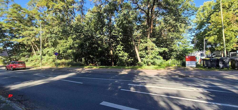 Grundstück mit Zukunftsperspektive – ca. 4.915 m² Waldfläche in Nuthetal zimmer