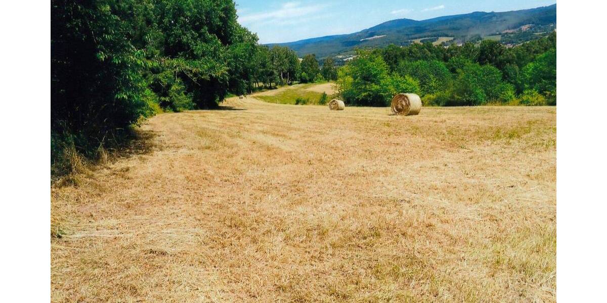 Grundstück Viernau Viernau - 25.000&euro; | Angebot:22045617