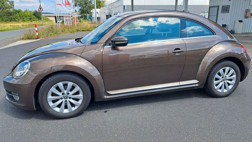 Beetle