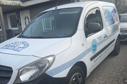 Mercedes-Benz Citan 80.850 km 6.000 &euro; Lübeck 23569