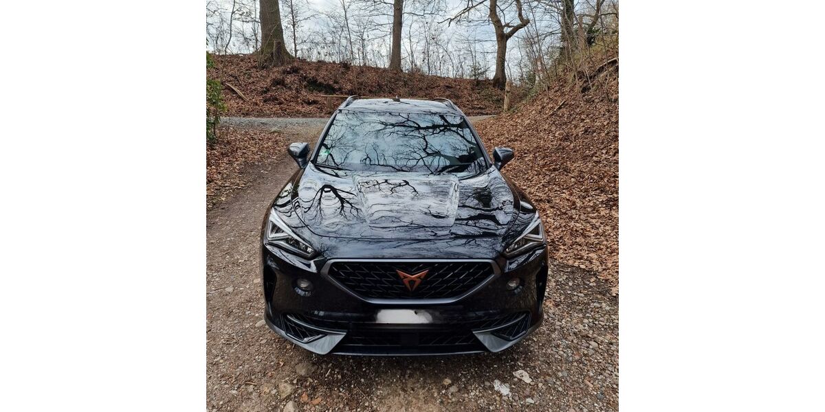 Cupra Formentor 63.500 km 28.500 &euro; Ratzeburg 23909