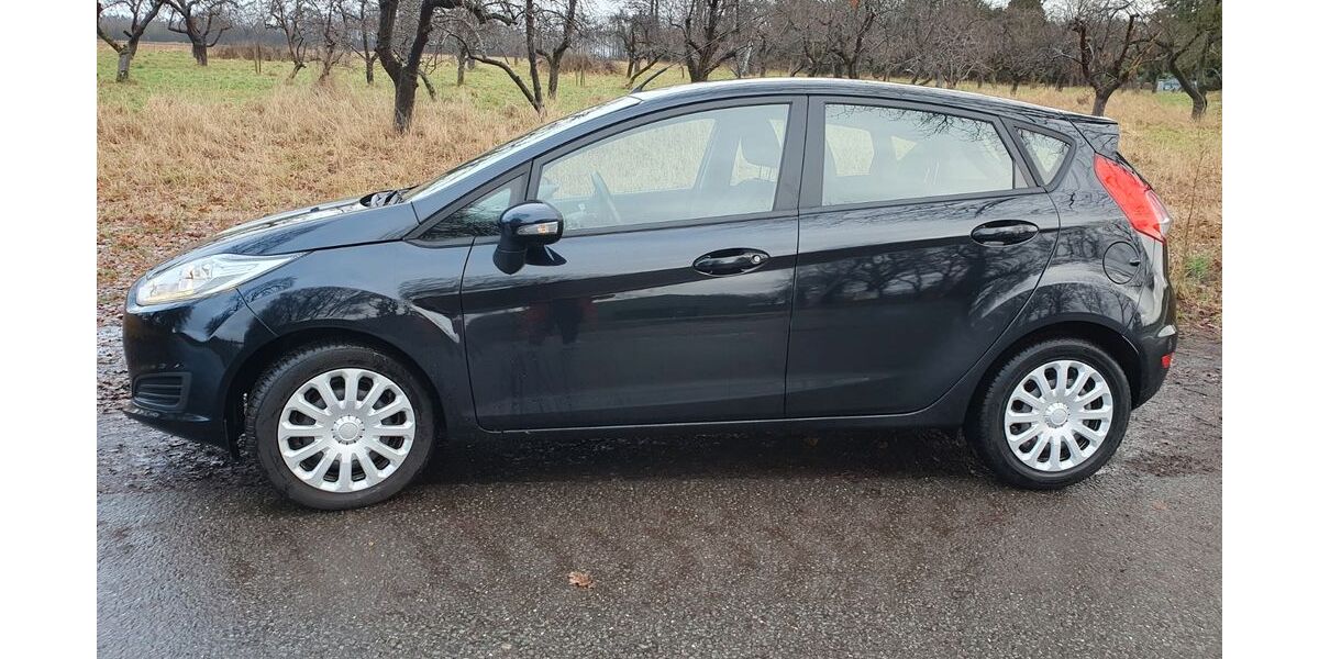 Ford Fiesta 95.149 km 5.500 &euro; Fredenbeck 21717