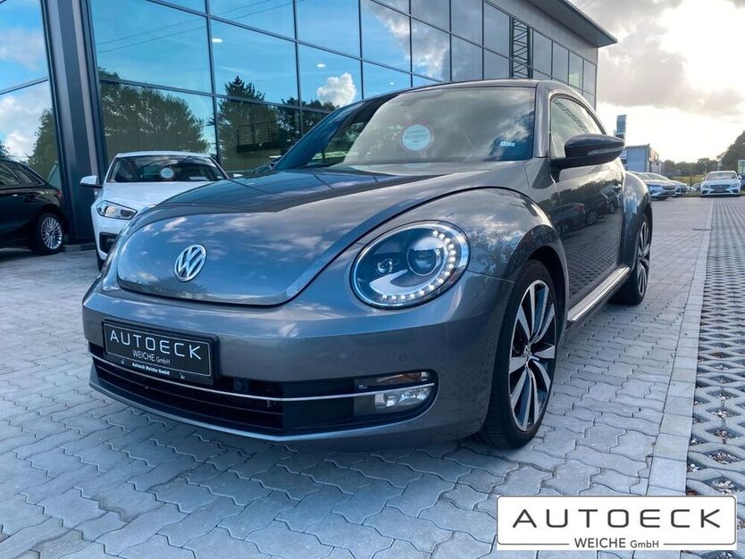 Beetle