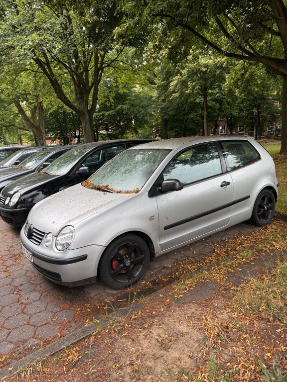 Polo