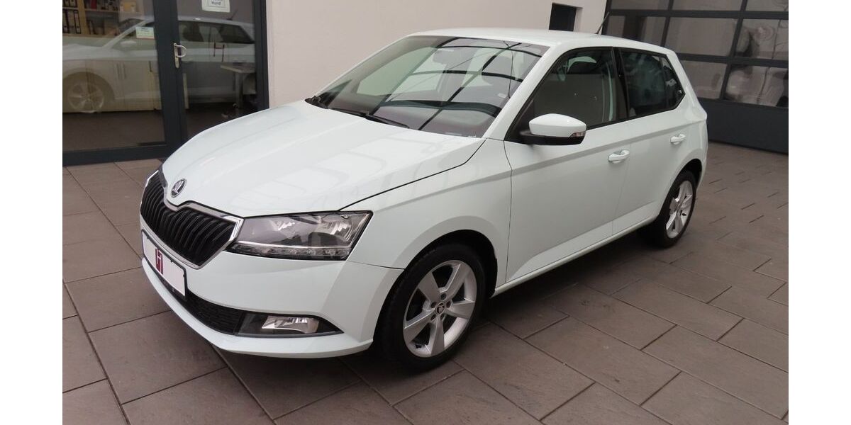 Skoda Fabia 64.470 km 9.685 &euro; Kassel 34123