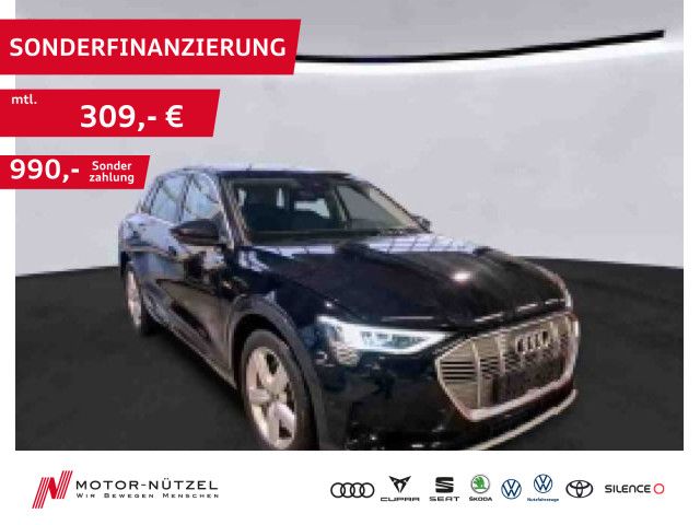 Audi e-tron 53.437 km 30.930 &euro; Hof 95030