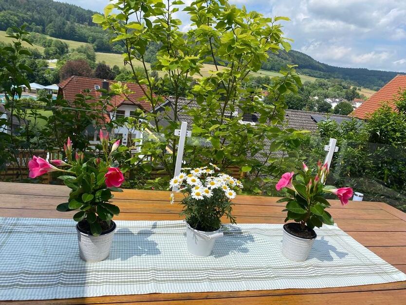 Exklusives Einfamilienhaus in Höchst Anbindung an Frankfurt