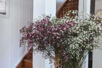 Haus Tübingen / Hagelloch Hagelloch - 6 Zimmer, 274 m&sup2;, 785.000&euro; | Angebot:23692898