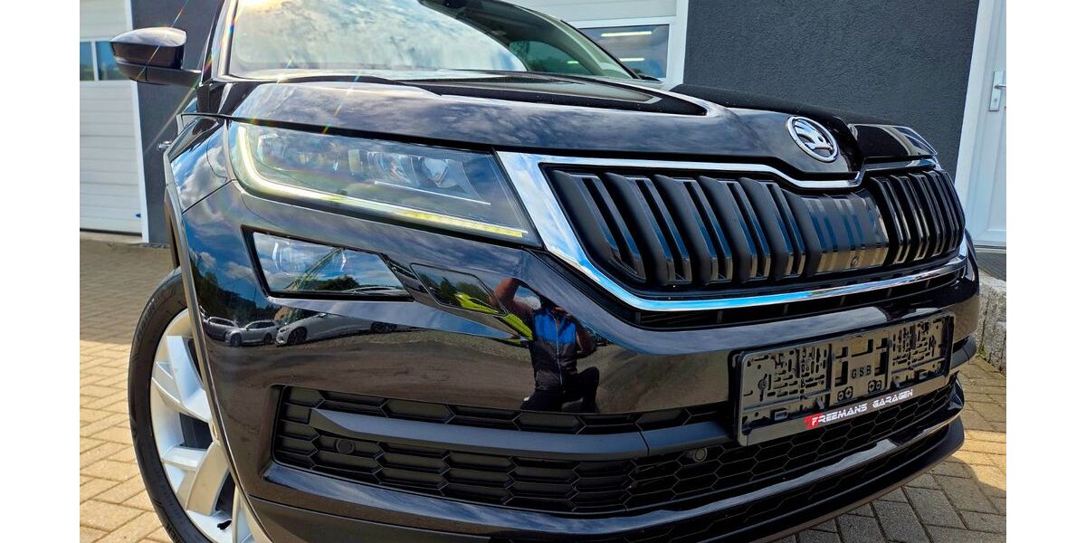 Skoda Kodiaq 165.990 km 23.950 &euro; Annaberg - Buchholz 09456