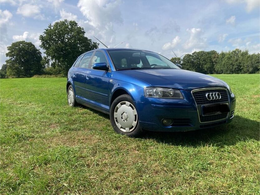 A3