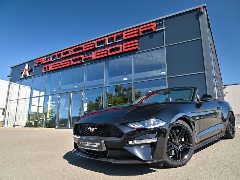 Mustang