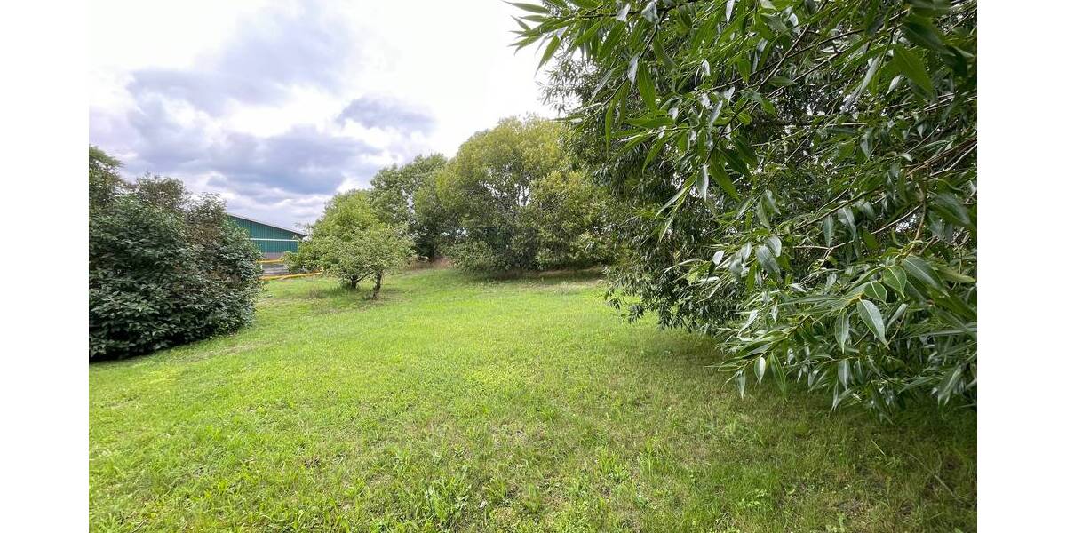 Grundstück Steffenshagen - 280.000&euro; | Angebot:25732553