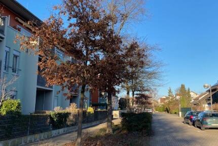 Wohnung Limburgerhof - 2.5 Zimmer, 79 m&sup2;, 265.000&euro; | Angebot:25975030