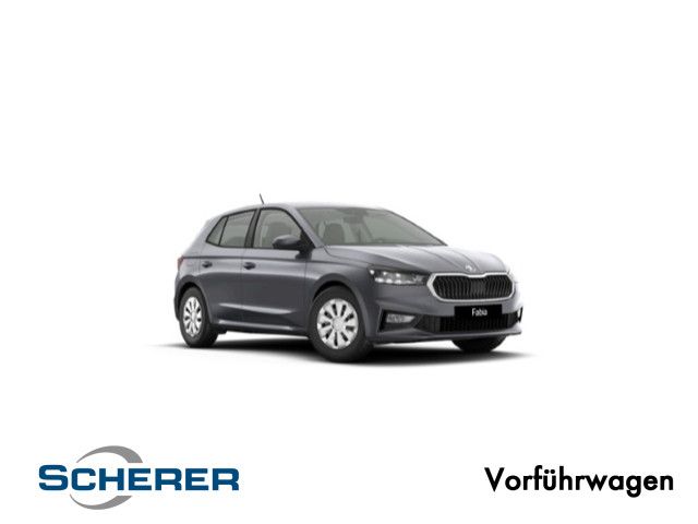 Skoda Fabia 3.000 km 29.100 &euro; Ludwigshafen 67063