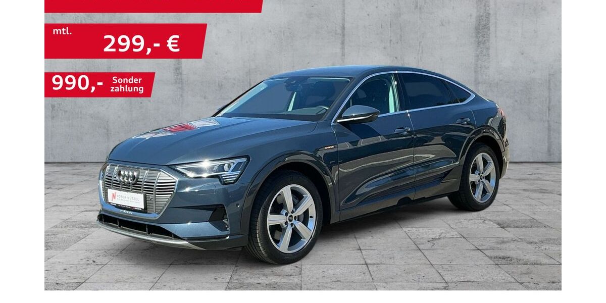 Audi e-tron 42.070 km 31.930 &euro; Bamberg 96052
