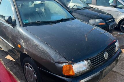 VW Polo 177.000 km 770 &euro; Jena 07751