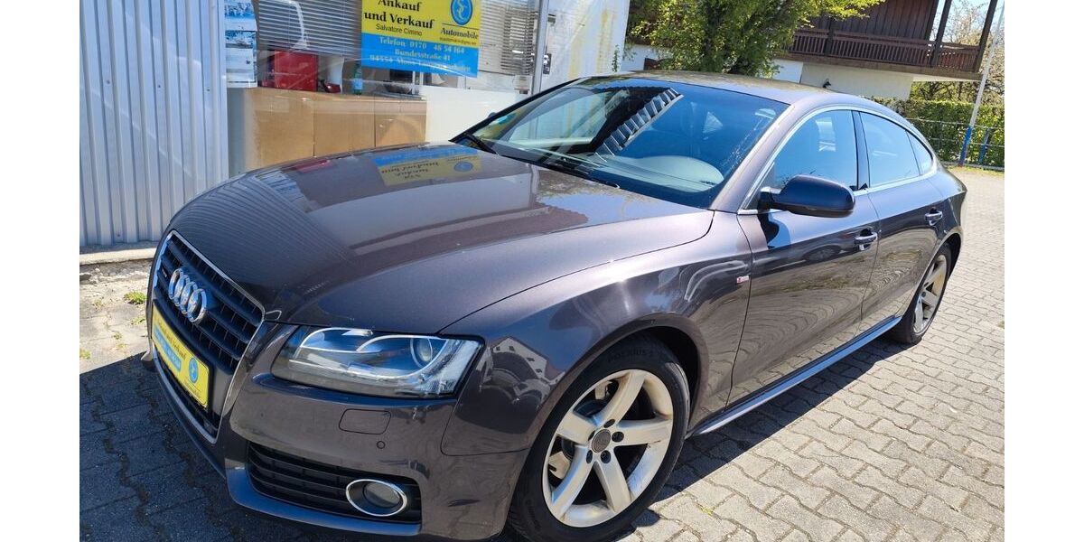 Audi A5 248.000 km 8.999 &euro; Langenisarhofen 94554