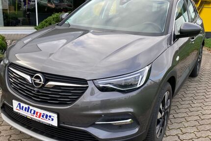 Opel Grandland (X) 16.900 km 27.900 € Delitzsch OT Döbernitz 04509