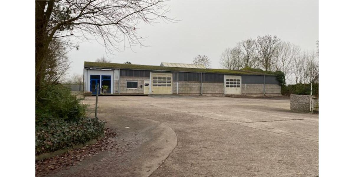 Gewerbeobjekt Wilster - 1.620&euro; | Angebot:24817996
